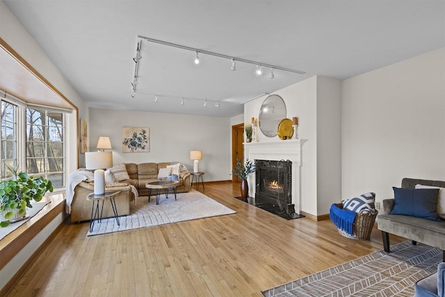 living area with a fireplace with flush hearth and wood finished floors