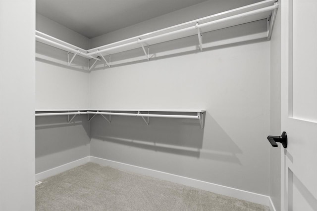 spacious closet featuring carpet