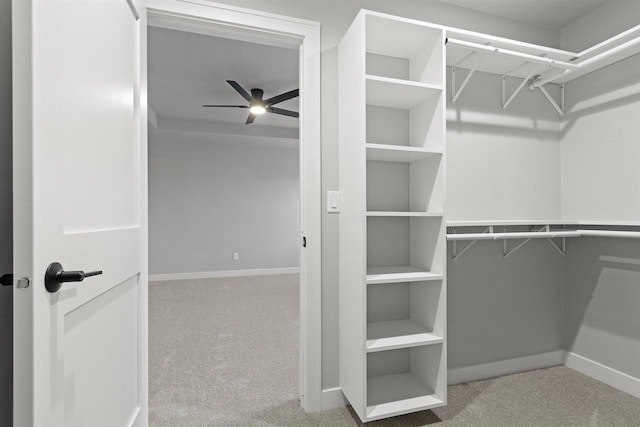 spacious closet featuring carpet and a ceiling fan