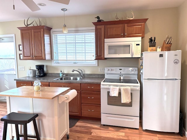 kitchen featuring light wood-type flooring, white appliances, a healthy amount of sunlight, and a sink