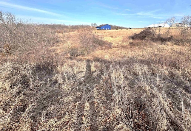 view of local wilderness featuring a rural view