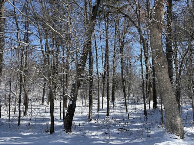 view of snow covered land