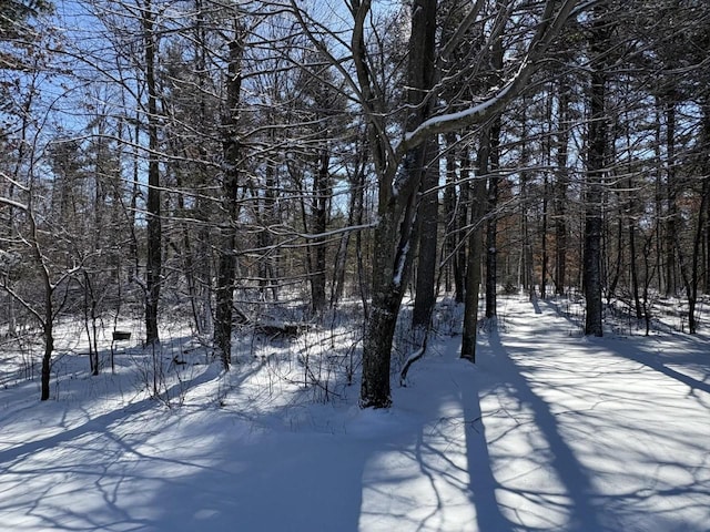 view of snow covered land