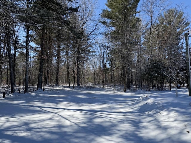 view of snowy yard