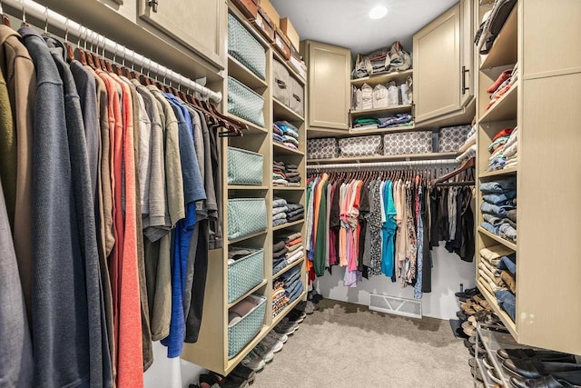 spacious closet with carpet