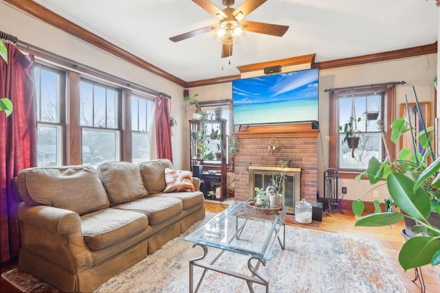 living room with a fireplace, ornamental molding, ceiling fan, wood finished floors, and baseboards