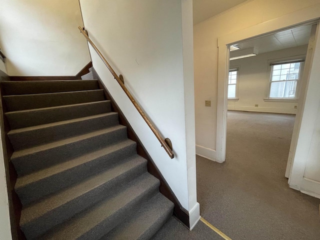 staircase featuring carpet floors and baseboards