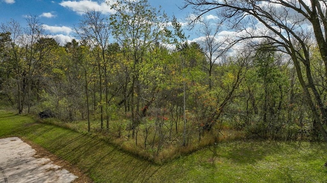 view of local wilderness with a wooded view