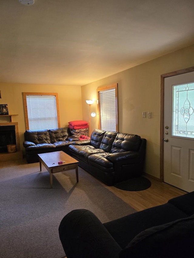 2838 W 3rd Dr, Oxford, WI 53952 - living area with plenty of natural light and a fireplace