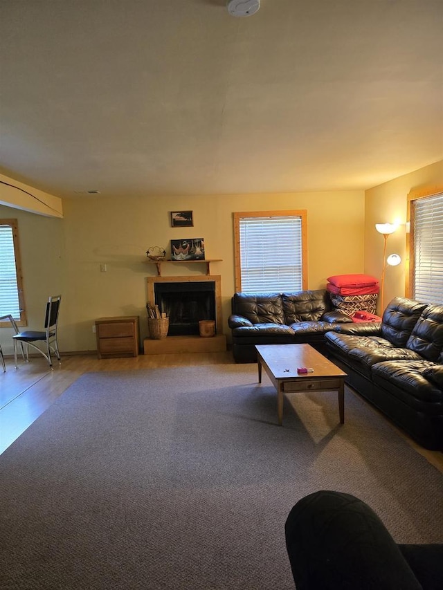 2838 W 3rd Dr, Oxford, WI 53952 - living area featuring healthy amount of natural light and a fireplace with raised hearth