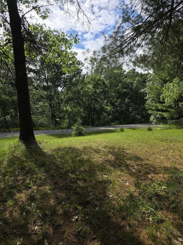 2838 W 3rd Dr, Oxford, WI 53952 - view of yard