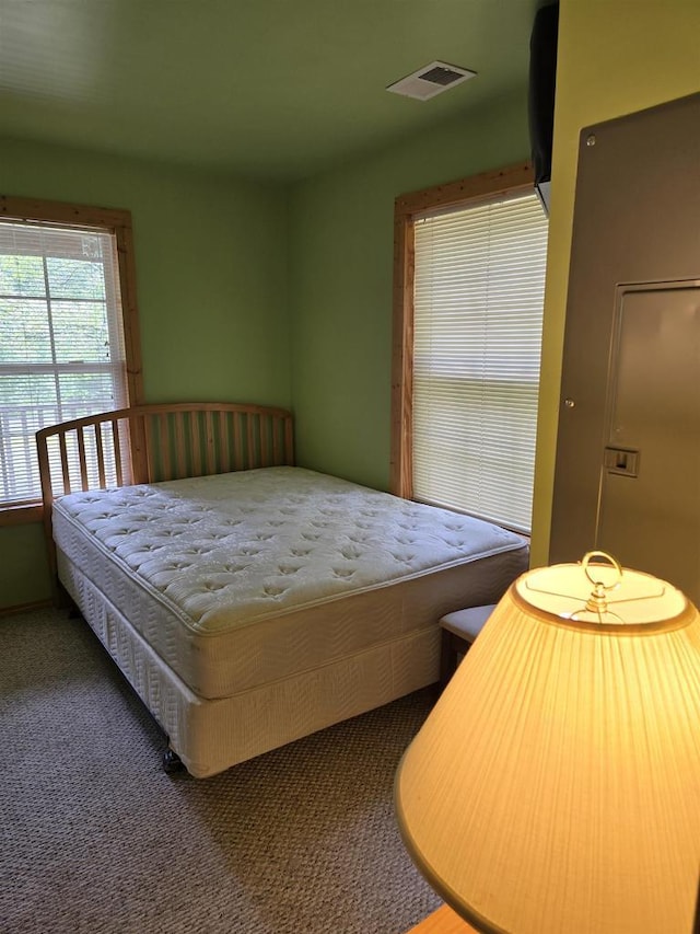 2838 W 3rd Dr, Oxford, WI 53952 - view of carpeted bedroom