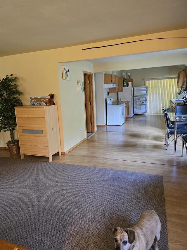 2838 W 3rd Dr, Oxford, WI 53952 - living area with wood finished floors