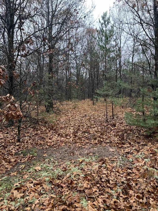 2838 W 3rd Dr, Oxford, WI 53952 - view of tree filled area