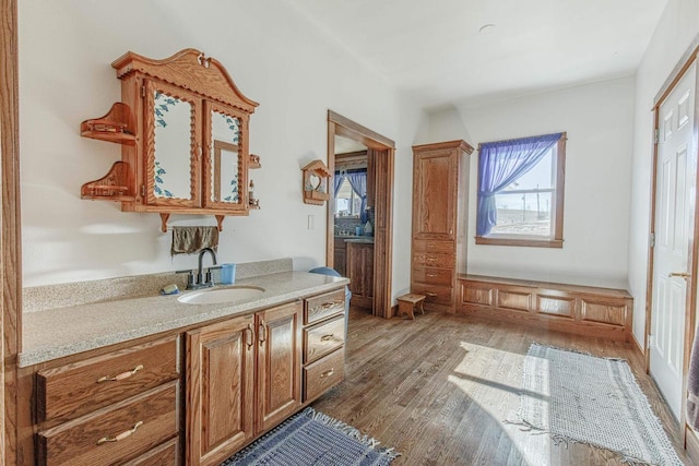 interior space featuring vanity and wood finished floors