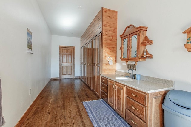 interior space with dark wood-style floors, a sink, and baseboards