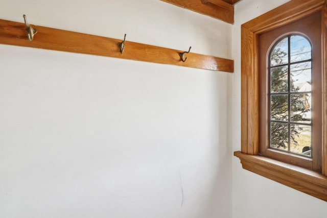 mudroom with a healthy amount of sunlight