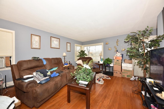 living area with wood finished floors