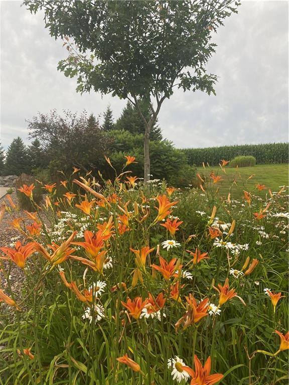 1747 E Drinkman Ln, Eau Claire, WI 54701 - view of local wilderness