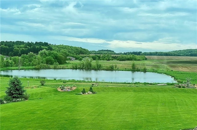 view of property's community with a yard and a water view