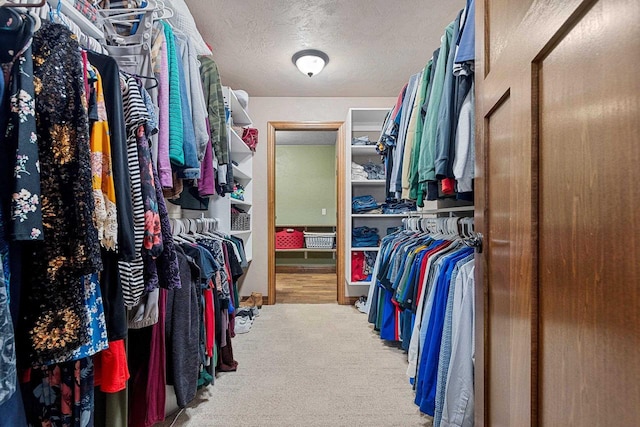 spacious closet featuring carpet flooring