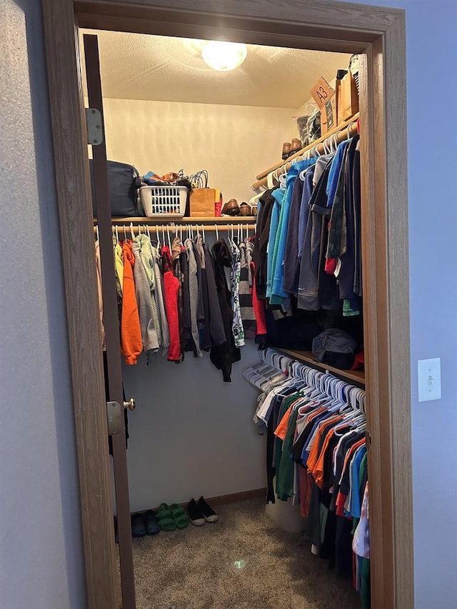 spacious closet featuring carpet