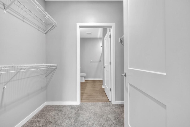 walk in closet featuring visible vents and carpet flooring