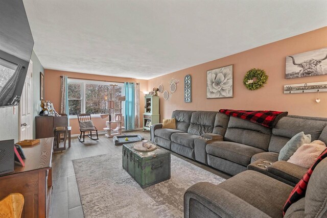 living area with wood finished floors