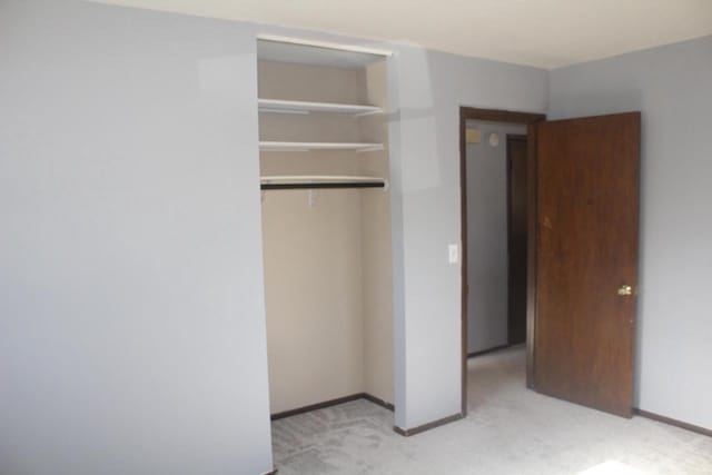 interior space with light carpet, baseboards, and a closet