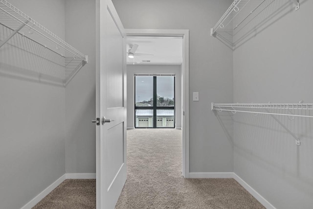 500 E Main St Unit 203, Waterford, WI 53185 - spacious closet featuring a ceiling fan and carpet