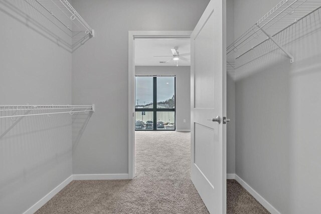 500 E Main St Unit 203, Waterford, WI 53185 - walk in closet featuring ceiling fan and carpet floors