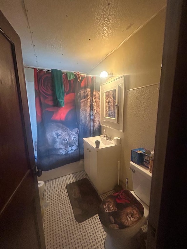 bathroom with toilet, a textured wall, a textured ceiling, and vanity