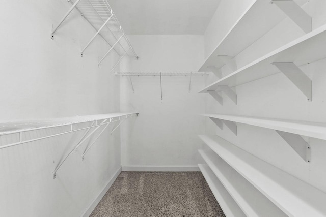 spacious closet featuring carpet flooring