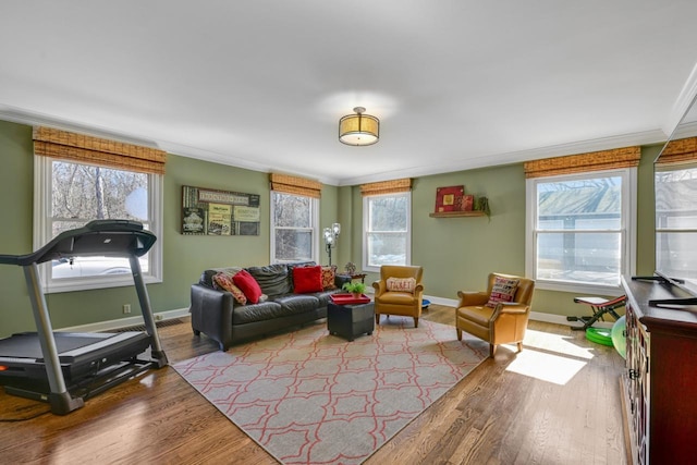 living room featuring wood finished floors, baseboards, and ornamental molding