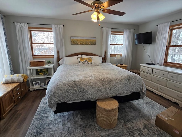 bedroom featuring ceiling fan, multiple windows, and dark wood finished floors