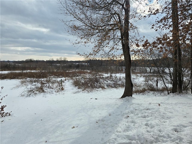 view of yard layered in snow