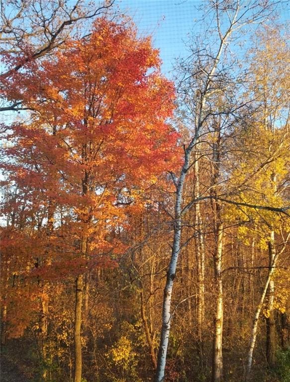 view of nature featuring a wooded view