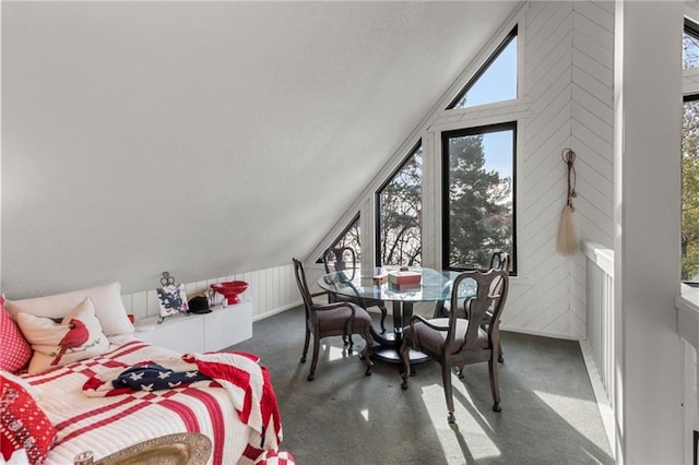 interior space with lofted ceiling and a textured ceiling