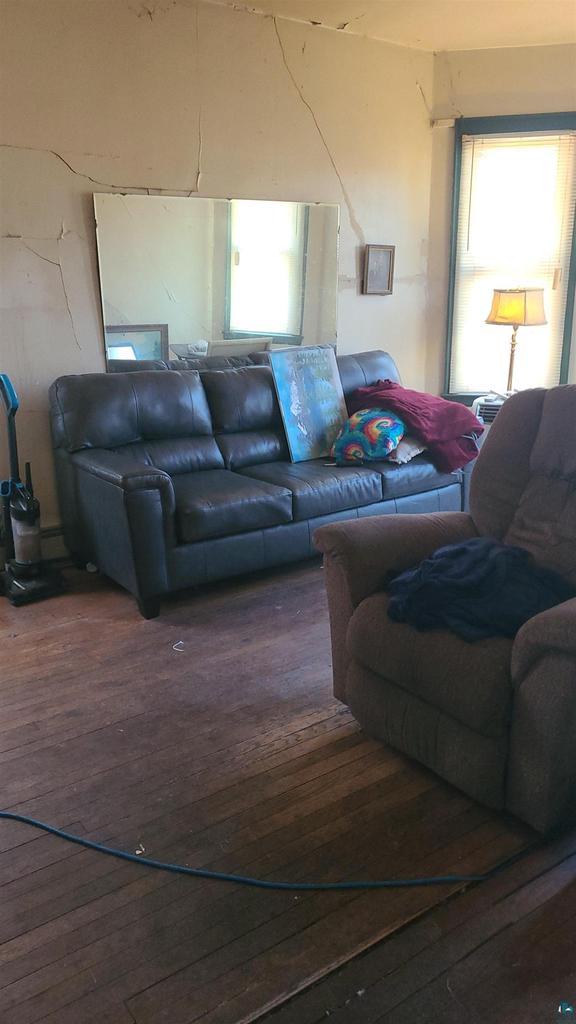 living room featuring wood-type flooring