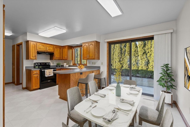 kitchen with brown cabinetry, a healthy amount of sunlight, a sink, black range with electric cooktop, and under cabinet range hood