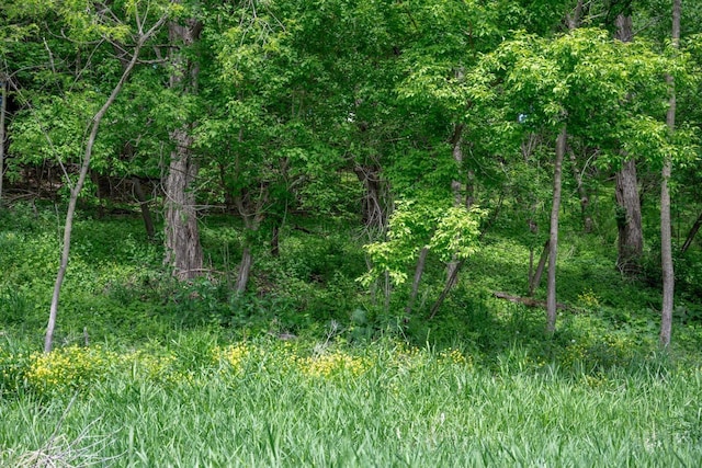18.455AC Section 11 Rd, La Valle, WI 53941