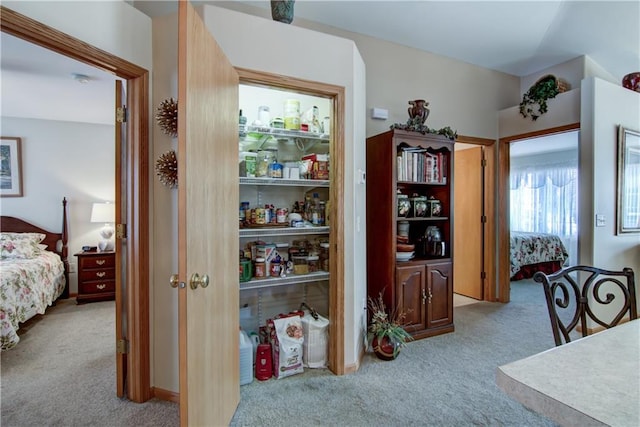 interior space with carpet