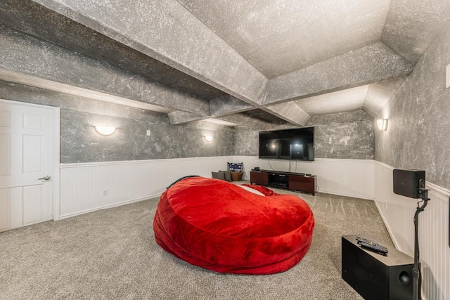 carpeted home theater with a textured ceiling and wainscoting