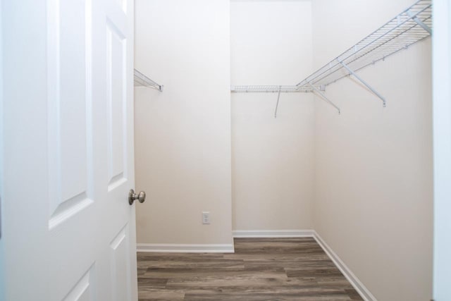 spacious closet featuring wood finished floors