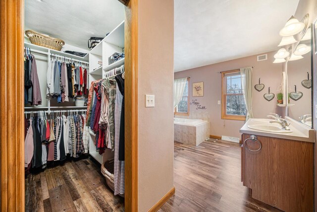 spacious closet with a sink, visible vents, and wood finished floors