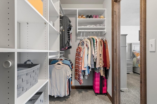 spacious closet with carpet