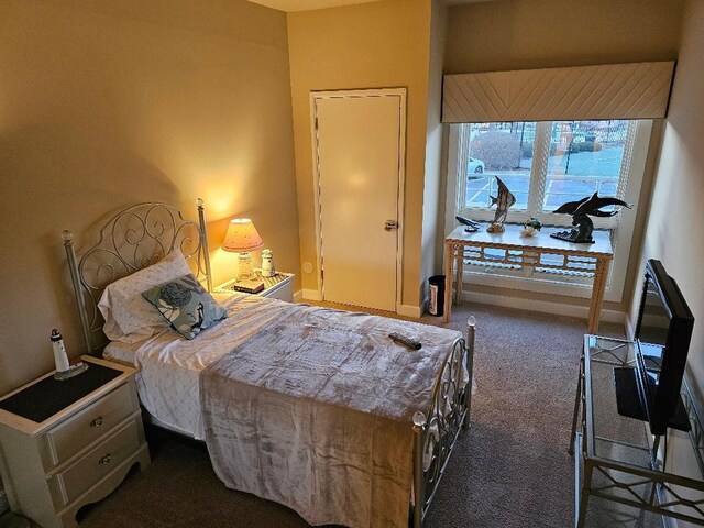 bedroom with carpet floors