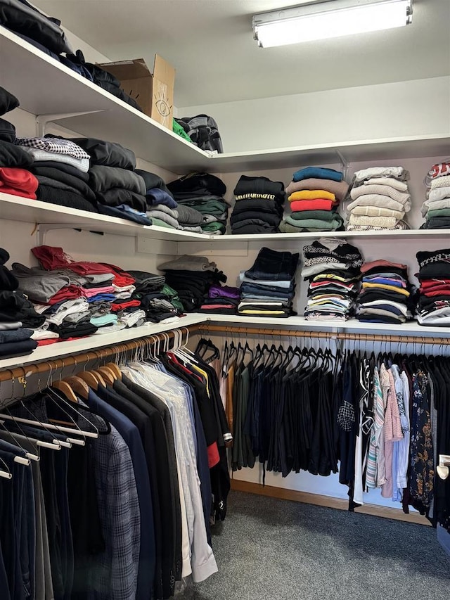 spacious closet with carpet floors