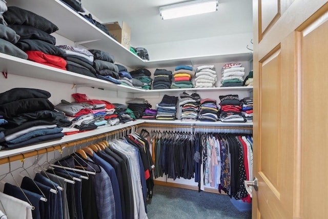 spacious closet with carpet floors