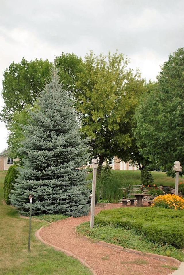view of community